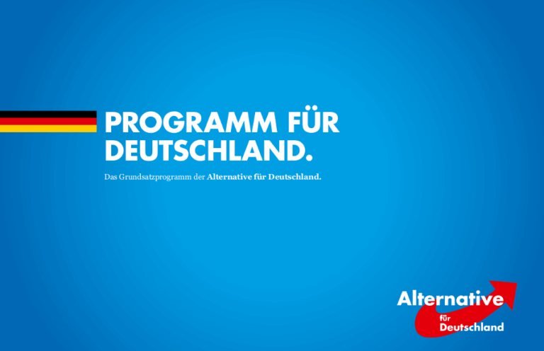 Die AfD bei der Bundestagswahl 2021: Partei und Kandidaten