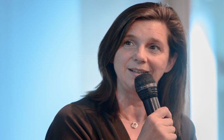 Die Grünen bei der Bundestagswahl 2017 - Programm und