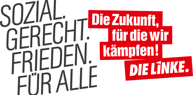 Die Linke Partei Kandidaten Und Programm Fur Die Bundestagswahl 17